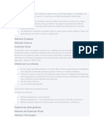 El Método Es Un Modo Ordenado y Sistémico de Proceder para Llegar A Un Resultado