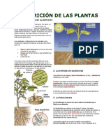 La Nutrición de Las Plantas