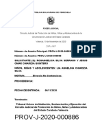 PROV-J-2020-000886: Circuito Judicial de Protección de Niños, Niñas y Adolescentes de La