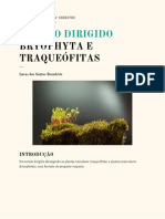 Estudo Dirigido Briofitas e Traqueofitas