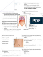 Abdominal Assessment Activity - Sonya