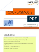 13 Toxoplasmosis 