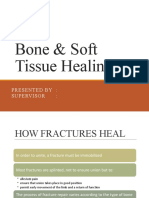 Bone and Soft Tissue Healing