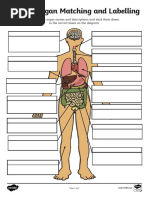 T He 153 Human Organ Matching and Labelling Activity Ver 2