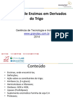 Aplicação de Enzimas em Derivados de Trigo