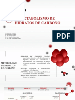 Metabolismo de Hidratos de Carbono