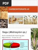 PPA 2 - Carbohydrate-III (Pengetahuan Produk Agroindustri)