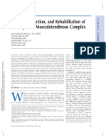 10.popliteus Musculotendinous Complex