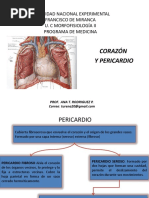 Corazonypericardio 200501205927