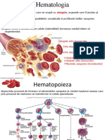 Hematologie Introducere