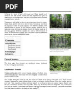 Forest: Coniferous Forests