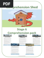 Stage 6 Reading Packs - Stage 6 Reading Pack A