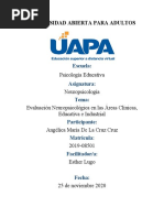 Neuropsicología Unidad IX