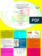 INFOGRAFIA