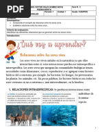Guía - Relaciones Entre Los Seres Vivos