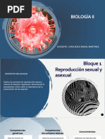 Biologia II - Bloque 1