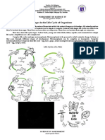 Stages in The Life Cycle of Organisms: Worksheet in Science Iv