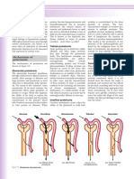 Protein Uri A