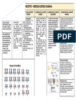 Cariotipo y Herencia Humana