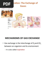 Respiration: The Exchange of Gases