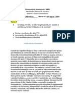 Cultura Dominicana