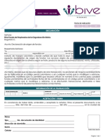 Formato Declaración Origén de Fondos