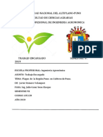 Insectos Plaga de Quinua - Docx Xavi - Docx Ultimo