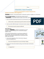 Student Exploration: Human Karyotyping