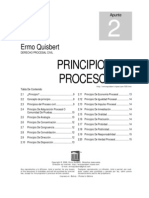 Principios Procesal Civil