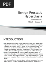 Benign Prostatic Hyperplasia: Presented By: 2BSN2 - Group 6