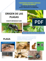 Origen de Las Plagas