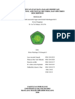 Makalah Diagnostik Kelompok 3