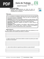 4basico - Guia Trabajo Ciencias - Semana 32