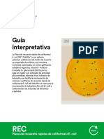 Petrifilm Rapid E.coli Interpretation Guide - Spanish 