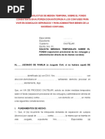 91.modelo de Solicitud de Medida Temporal Sobre El Fondo Consistente en Autorizacion Anticipada A