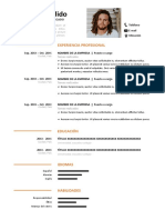 133 Curriculum Vitae Ejemplar