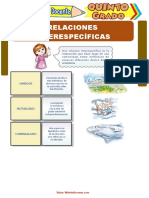 Relaciones Interespecíficas para Quinto Grado de Primaria