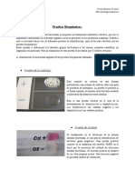 Pruebas Bioquimicas