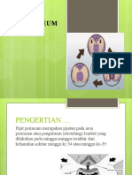 Pijat Perineum