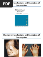 Chapter 12: Mechanisms and Regulation of Transcription