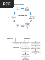 Congestive Heart Failure Pathophysiology