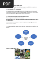 Ficha Pedagógica Biología Primero A-B 04 Al 08 Enero