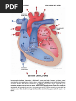 Partes Del Corazón y Sus Funciones