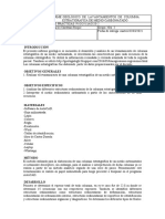 Levatamientode Columna Estratigrafica de Medio Carbonatado