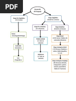 Desarrollo Tipico Lenguaje DNSR