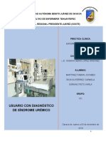 Plan de Cuidados Sindrome Ureico