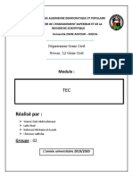 Exposé TEC (Laibi Riad - Younsi Ziad - Chinoun Lakhdar - Rahmani Mohamed Ayub) Groupe 02 (Génie Civil)