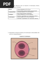 Paracito 7