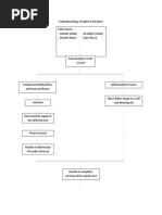 Pathophysiology of Spinal Cord Injury 1