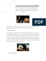 Cómo Impactan Nuestras Acciones en La Vida de Los Animales